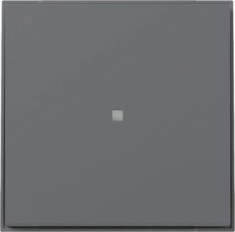 GIRA 349067 Wippe gerade Kontrollfenster 