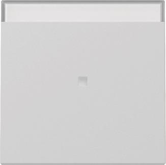 GIRA 3670015 Wippe Kontrollfenster+BSF 