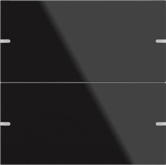 GIRA 502205 Wippenset 2fach Tastsensor4 