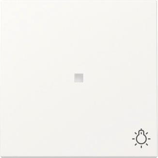 GIRA 367427 Wippe Kontrollfenster+Symbol 