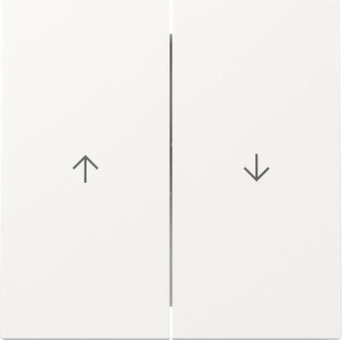 GIRA 329470 Wippe 2f Pfeil 