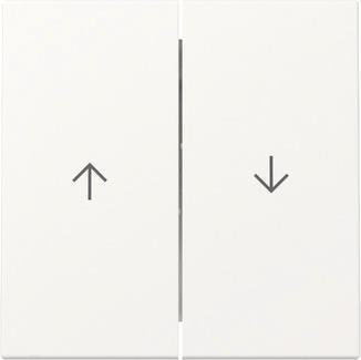 GIRA 329427 Wippe 2fach Pfeil System 55 