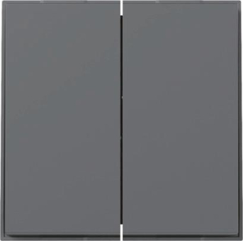 GIRA 349567 Wippe 2fach gerade TX_44 