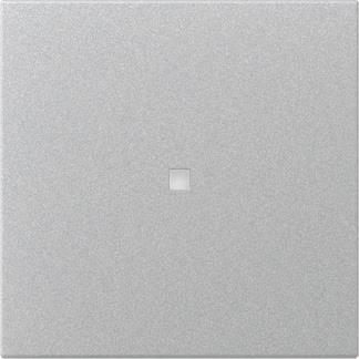 GIRA 349026 Wippe gerade Kontrollfenster 