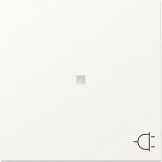 GIRA 329127 Wippe Kontrollfenster+Symbol 