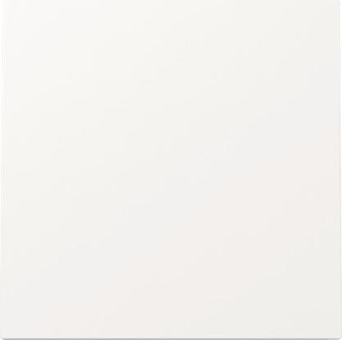 GIRA 329670 Wippe Flächenschalter 