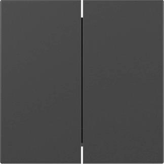 GIRA 3495005 Wippe 2fach gerade 