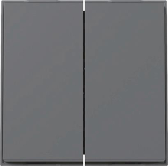 GIRA 329567 Wippe 2fach TX_44 WG UP 