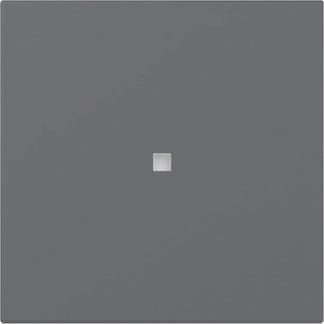 GIRA 349028 Wippe gerade Kontrollfenster 