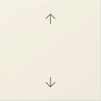 GIRA 361601 Wippe Pfeile System 55 