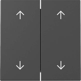 GIRA 3297005 Wippe 2fach Pfeile 