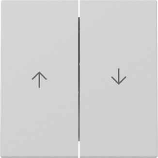 GIRA 3294015 Wippe 2fach Pfeil System 55 