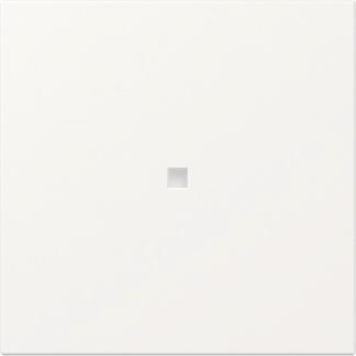 GIRA 349027 Wippe gerade Kontrollfenster 