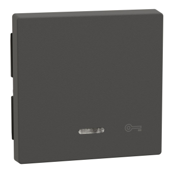 Merten Wippe m.Kontrollfenster+   430714 