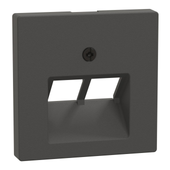 Merten Zentralplatte f.UAE 2fach  298014 