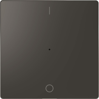 Merten Wippe f.Taster-Modul MEG5211-6034 