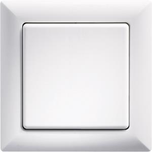 Eltako 1-fach-Rahmen 55x55mm innen  R-wg 