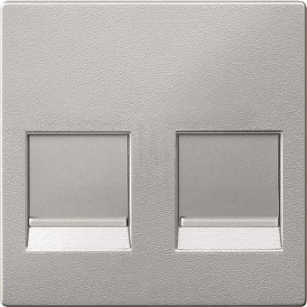 Merten Zentralplatte 2f     MEG4562-0460 