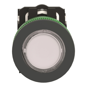 Schneider Leuchtdrucktaster    XB5FW31M5 