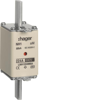 Hager Sicherungseinsatz NH1   LNH1224M6A 
