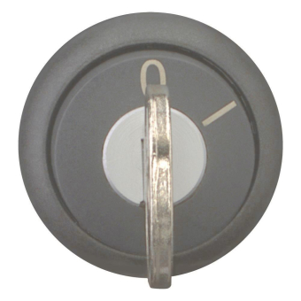 EATON M22S-WS Schlüsseltaste      216882 