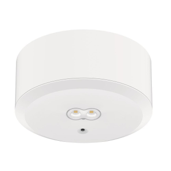 DOTLUX LED-Sicherheitsleuchte       5098 