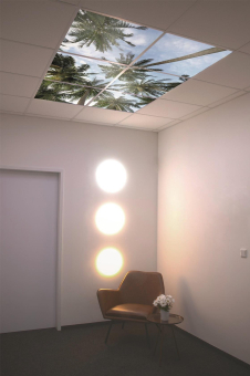DOTLUX Motivplatte SKYLIGHT M04-01010620 
