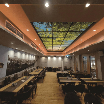 DOTLUX Motivplatte SKYLIGHT M01-01010620 