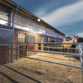 DOTLUX LED Strahler schwarz  5146-040120 