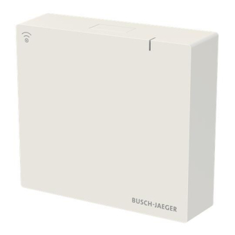 BJ System Access Point 3.0     SAP.13-WL 