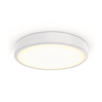 Philips TCBRLS 46S/930 DIA OC   86384200 