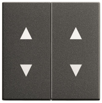 GIRA 115028 Wippe 2fach Pfeile System 55 