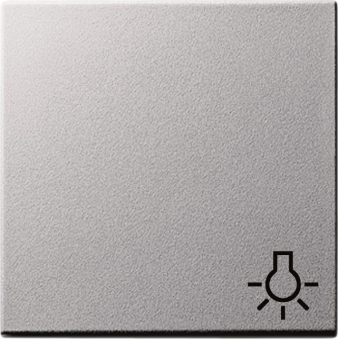 GIRA 028526 Wippe Symbol Licht System 55 