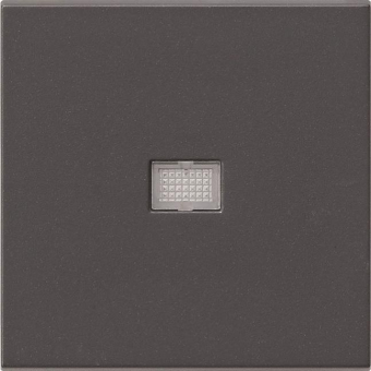 GIRA 029828 Wippe Kontrollfenster groß 