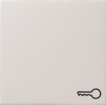 GIRA 028703 Wippe Symbol Tür System 55 