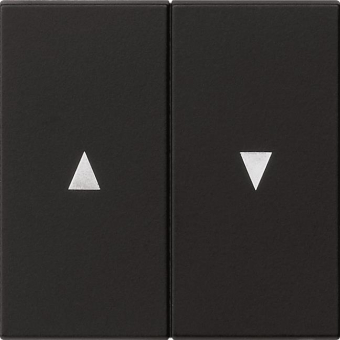 GIRA 0294005 Wippe 2fach Pfeil System 55 