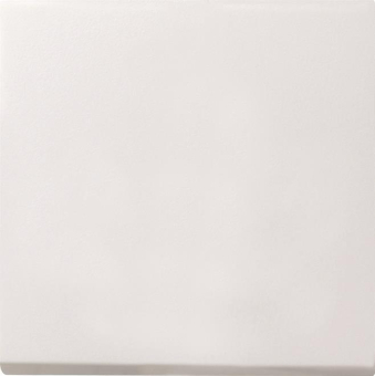 GIRA 0126112 Tastschalter Aus-Wechsel 