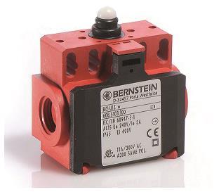 Bernstein Grenztaster         6085103100 