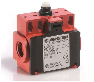 Bernstein Grenztaster         6085103100 