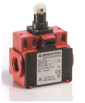 BERN Grenztaster Kst Bi      BI2-U1Z RIW 