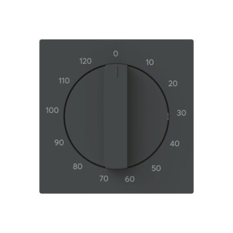 BJ Zentralscheibe           1771-45M-103 