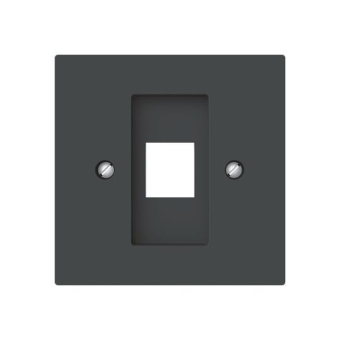 BJ Zentralscheibe m.Tragring    2561-45M 