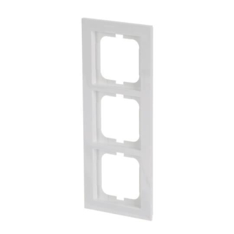 BJ Axcent Rahmen                1723-284 