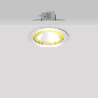 RZB Abdeckring D246 H14       981754.064 