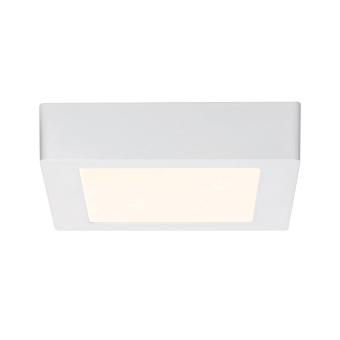 Paulmann WallCeiling Lunar LED     70644 