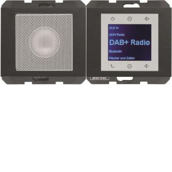 Berker Radio Touch              30807006 