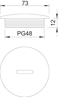 OBO 108 PG48 Verschlussschraube PG48 PS 