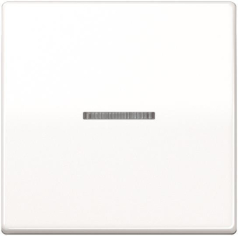 Jung KNX RF Taster         AS10911STRFWW 