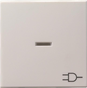 GIRA 020927 Wippe Kontrollfenster+Symbol 