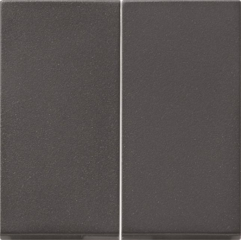 GIRA 091528 Wippe 2fach Tastschalter 